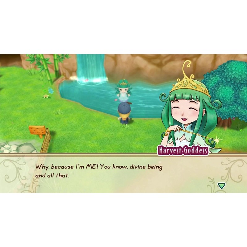 Story of Seasons Friends NS