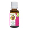 Gastro help, Antigastritis para perros