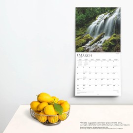 Psalms | 2025 12 x 24 Inch Monthly Square Wall Calendar | BrownTrout | Religion Hymns Lord