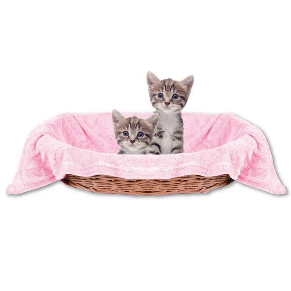 Bestlivings Pet Blanket Cat Blanket Cuddly Blanket Animal Blanket Comfortable