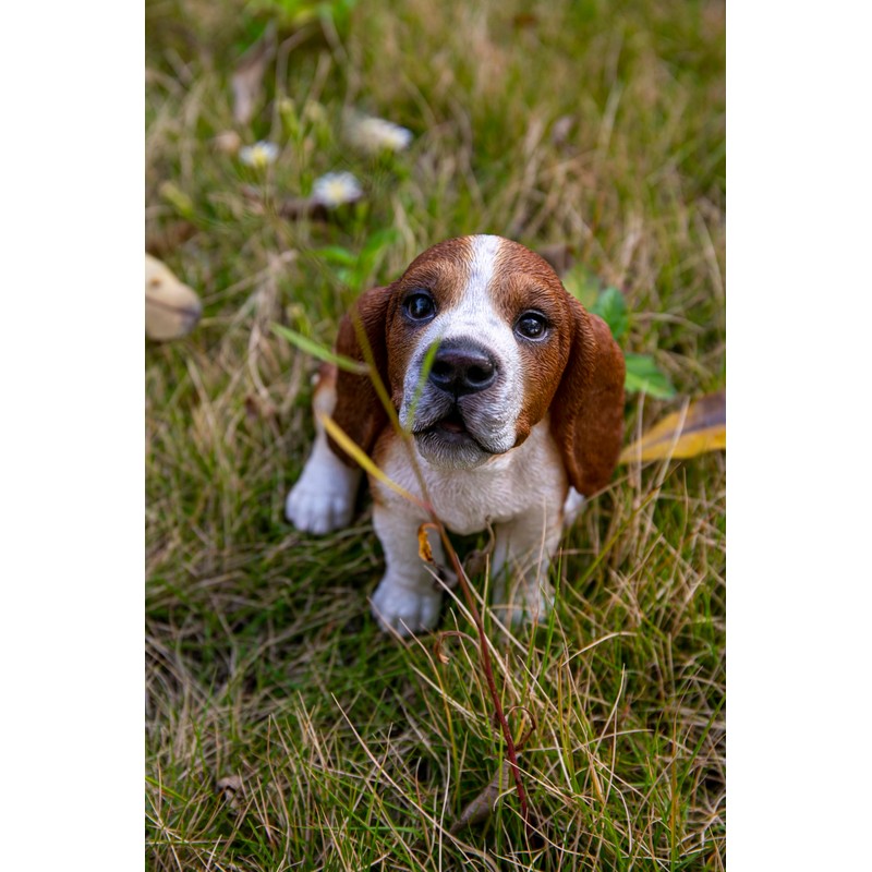 Hi-Line Gift Ltd. Basset Hound Puppy Howling