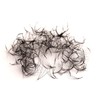 WL Wonder Lashes, Ready-to-Use Eyelash Fans 5D for Professional, 0.07,