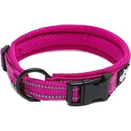 Truelove Dog Training Collar TLC5011 Reflective Premium Buckle Nylon Webbing Pet Dog Collars,High Grade Nylon Webbing No Choke Basic Collars Now Available (S, Fushcia)