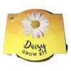 Buzzy Daisy Grow Kit