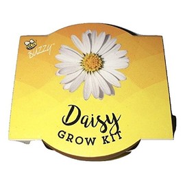Buzzy Daisy Grow Kit