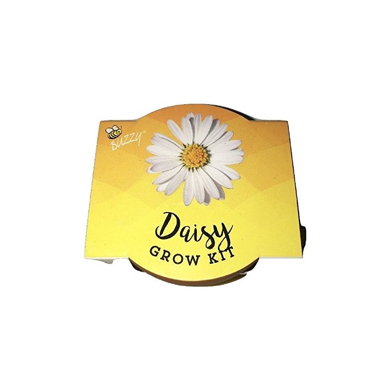 Buzzy Daisy Grow Kit