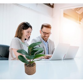 Ewtogift Indoor Artificial Plant 10" Green Faux Silk Plants Small Fake Plant with Realistic Trunk and Elegant Planter for Office Table House Home Bathroom Shelf Living Room Desk Decoration