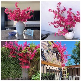 Flores Artificiales de Seda Ramas de Buganvillas Falsas Tallos Florales Artificiales de Buganvillas Ramas de Plantas Largas de 45" para Centros de Mesa de Boda, Camino de Mesa, Decoración del Hogar