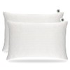 Waterproof Pillow Protectors 2 Pack with Zip Closure - Made With An Ultra Soft Bamboo Rayon Anti-Allergy Fabric, 100% Hypoallergenic & Anti-Bacterial