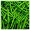 Everwilde Farms - 1 Oz Organic Provider Green Bean Seeds
