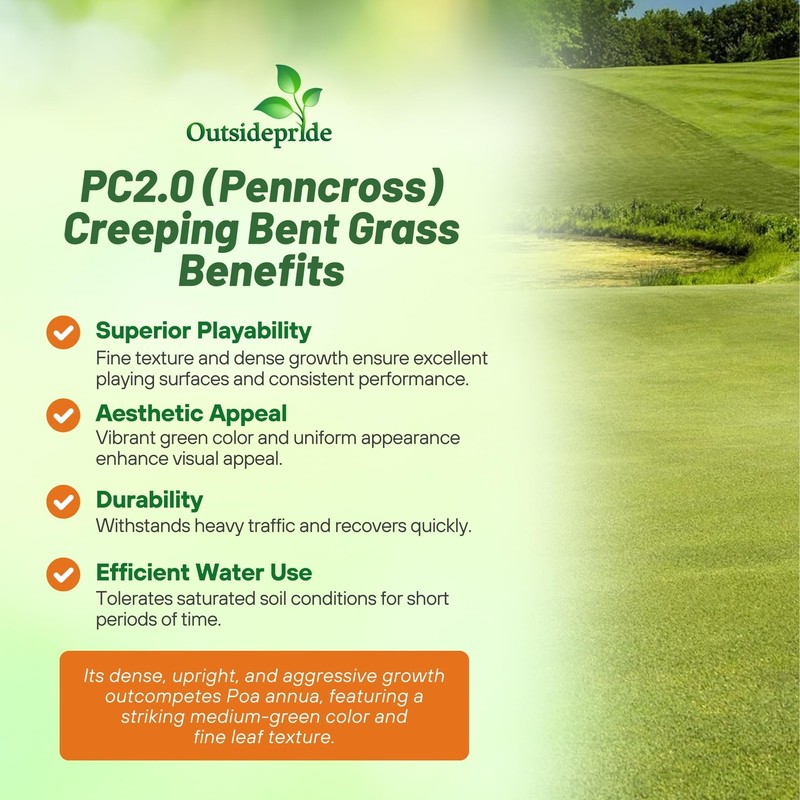 Outsidepride PC2.0 (Penncross) Creeping Bent Grass Seed – 1 lb.