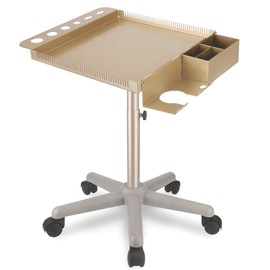 Retain Time Hair Salon Carts, Champagne Gold Salon Tray for Hair Stylist, Multi-Function Salon Tray, Salon Station(with Wheels), Large Size and Robust,Corrosion-Resistant Adjustable Color Tray.