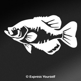 Express Yourself Products Black Crappie (White - Reverse Image - 5XL) Decal Sticker - Freshwater Fish Collection