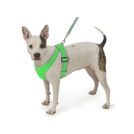 My Canine Kids Precision Fit Nylon Step-in Adjustable Dog Harness in Teacup to 40 LBS Vest Easy On Adjustable XXXSmall Toy Puppies to Large Soft Walking Doggy Wrap Vest (4101) (Large - Gingham Green)