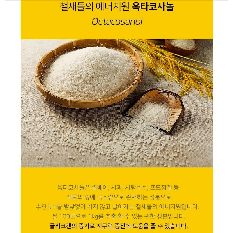 Wayfarm 쏘팔매토 옥타코사놀 아연 로르산 115 전립선 지구력 증진 2통