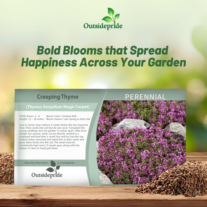 Outsidepride Magic Carpet Creeping Thyme Seeds - 500 Pcs. Perennial,