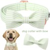 ARING PET Dog Collar-Cute Green Dog Collar with Bow, Adjustable