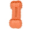 TPR Dog Teeth Cleaning Chew Toy Food Dispenser Brushing Stick