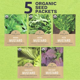 Organic Mustard Green Seeds Variety Pack - 5 Individual Packs - 2025 Season - Mizuna, Pizzo, Bekana, Red Giant and Green Wave! for Indoor & Outdoor Planting (Non-GMO, Certified Organic)