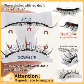 QUEWEL Magnetic Lashes with Applicator 1 Pair Reusable Magnetic Eyelashes Kit No Glue Needed Lashes Cat Eye Natural Look Easy to Wear and Remove(DDCX-I)