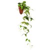 Kijapan 163701 Clematis Wall Hanging (W x D x H):