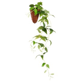 Kijapan 163701 Clematis Wall Hanging (W x D x H): 8.7 x 7.1 x 23.6 inches (22 x 18 x 60 cm)
