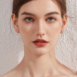 Dangle Drop Earrings Silver Diamond Drop Earrings for Women Cubic Zirconia Drop Stud Earrings 925 Sterling Silver TearDrop Earrings Rose Gold Hypoallergenic CZ Dangle Earrings ZDaoBen