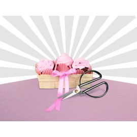 Dr. Oetker 4615 Retro Kitchen Scissors 17 cm Stainless Steel Silver, 17 x 6 x 1 cm