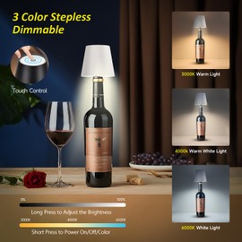 Hoide 2025 New Wireless Bottle Lamp - LED Bottle Lights for Liquor & Wine Bottles, Cordless Lampshade, Whiskey Bottle Top Light, Bottle Stopper Night Light Kit, Rechargeable 3-Tone Touch-Dimmable