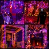 INGEQUIS Guirnalda de Luces Solar Halloween 10M de 100LEDs con