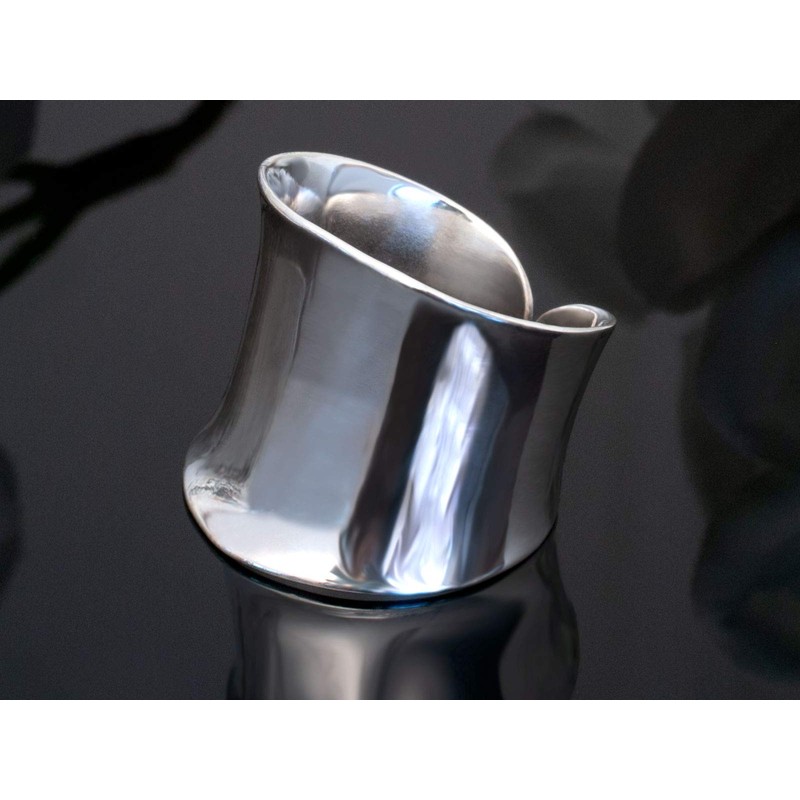 Fly Style Wide Silver Ring Women's Ring 925 Silver Ladies