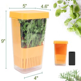 LUVCOSY Fresh Herb Keeper for Refrigerator, Clear BPA-Free Herb Saver, Storage Container for Cilantro, Parsley, Thyme, Mint & Asparagus, Preserver Keeps Fresh Herbs for 3 Times Longer, Orange