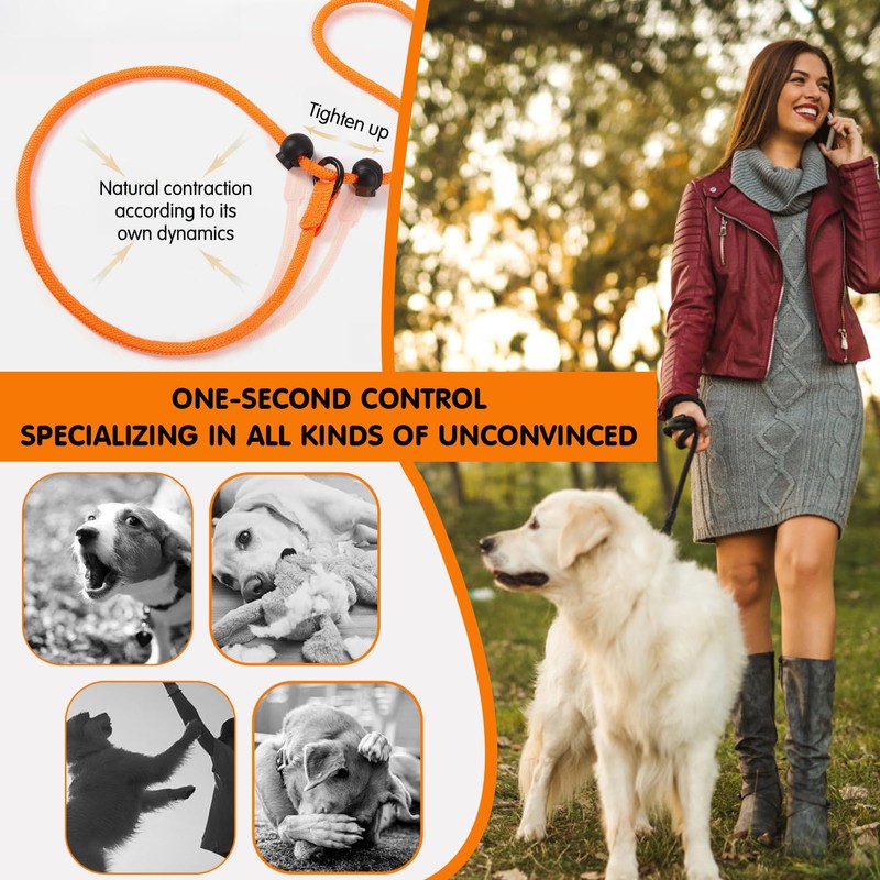 Slip Lead for Dogs Leash Explosion-Proof Strong Adjustable Collar Thin