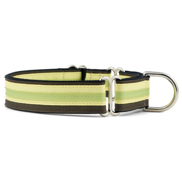 If It Barks 1" Martingale Collar for Dogs, Adjustable Nylon,
