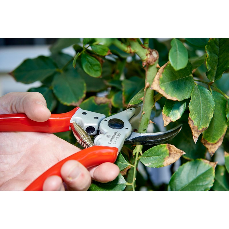 Corona BP 4250 Forged Steel Aluminum Handles Bypass Hand Pruner