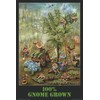 NMR/Aquarius Gnome Grown Poster
