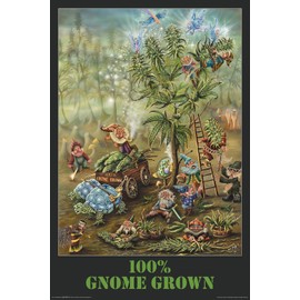 NMR/Aquarius Gnome Grown Poster