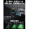 Seikosangyo EXEA Illumination Swing USB Light with Remote Control EL-179