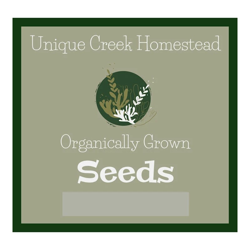 THAI HOT Chili Pepper Seeds Organically Grown Unique Creek Homestead