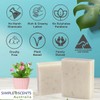 Simple Scents Australia Oatmeal & Bran Scented Natural Soap Bars