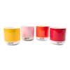 Copenhagen Design Pantone Latte Cup - Double Wall Thermo -