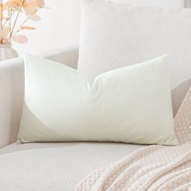 Artscope Luxury Velvet Cushion Covers Super Soft Decorative Rectangle Throw Pillow Covers Case Cushion Covers for Sofa Couch Bedroom Car Decor 40x60cm Cream White