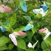 Berocia 20 LED Butterfly String Lights with Remote USB Plug