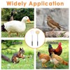2-Pack Chicken Feeder, Chicken Toys for Hens with Spring and