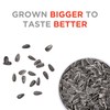 JUMBO SUNFLOWER SEEDS, Mega No Salt, 5.5-Ounce (Pack of 12)