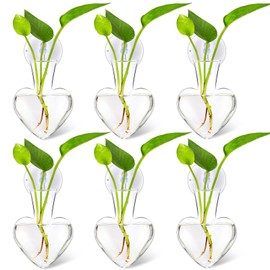 Maxdot 6 Pcs Window Propagation Stations Glass Plant Propagation Heart Vase with Suction Cups Easy to Install Heart Plant Propagation Stations Air Plant Terrarium for Hydroponics Home Office Decor