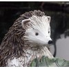 25 cm Standing Hatty Hedgehog Resin Garden Ornament …