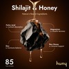 HUNY Bee Energized with Shilajit Honey Sticks | 85+ Trace