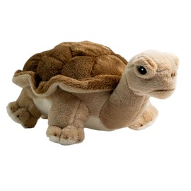 Carl Dick Turtle 8 inches, 21cm, Plush Toy, Soft Toy 2763