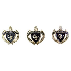 Gold Toned and Enamel Honor Society Scholastic School Achievement Award Lapel Pin, Pack of 3
